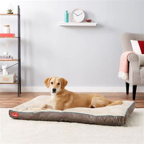 Waterproof Dog Bed | The Best Waterproof Dog Beds