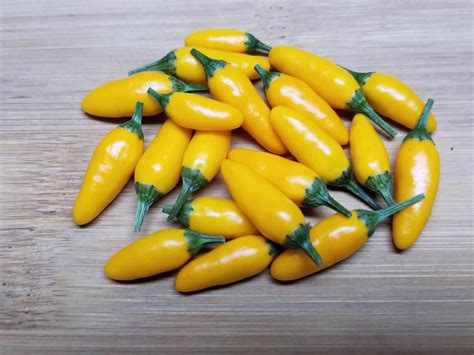 Yellow Pequin Pepper plants | Super Hot Chiles