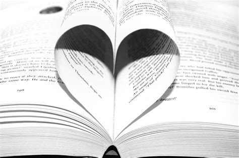 Love Of Books Free Stock Photo - Public Domain Pictures