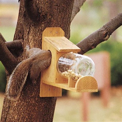 How to Make a Squirrel Feeder (DIY) | Family Handyman