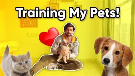 Pets Training Challenge - YouTube