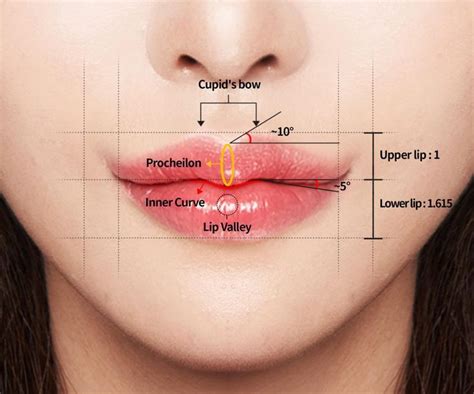 Cupid's bow surgery - Secret to Korean lips - Hyundai Aesthetics Blog ...