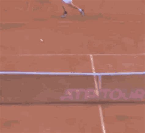 Alejandro Davidovich Fokina Forehand GIF - Alejandro Davidovich Fokina ...