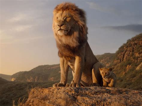 The Lion King Mufasa And Simba