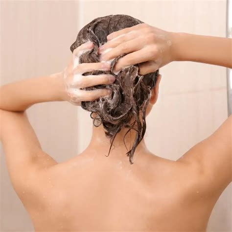 Benefits of Tea Tree Oil Shampoo for Hair Health