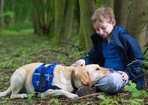 20 Dog Breeds Perfect for Autistic Children