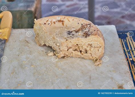 Casu Marzu, Sardinian Cheese with Worms Stock Image - Image of artisan, forms: 162705239