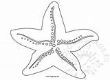 Starfish Coloring Pages To Print – Page sketch template