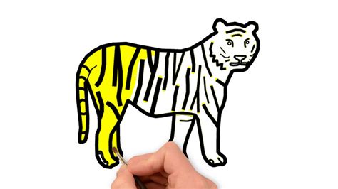 Bengal Tiger Drawing | Free download on ClipArtMag