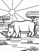 Rhinoceros coloring Page  Animals Town color Sheet sketch template