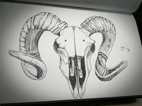 Goat Skull Goat Skull, Anatomy Art, Animal Skulls, Beautiful Things, Goats, Bull, Piercings ...