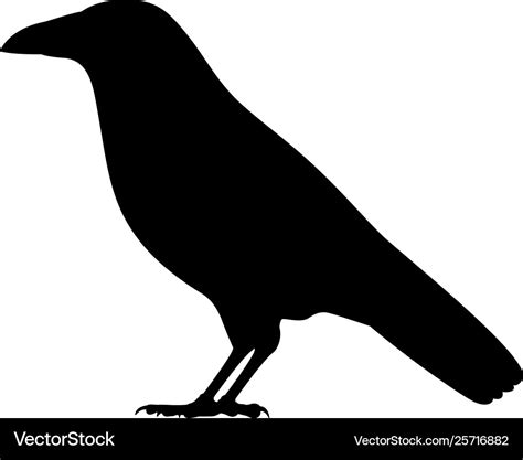 Black silhouette a crow Royalty Free Vector Image