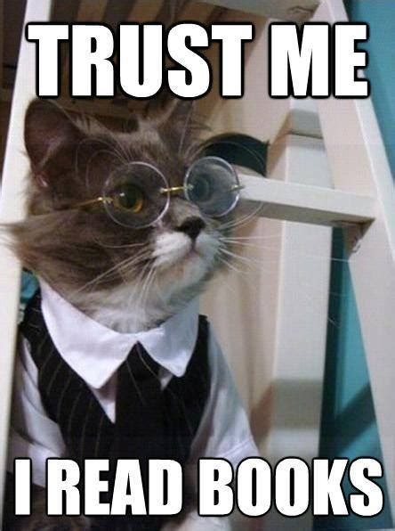 TRUST THE CAT ALWAYS TRUST THE CAT - Meme Guy