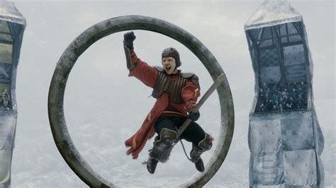 Which Quidditch Position You Should Play Based On Your Chinese Zodiac Sign