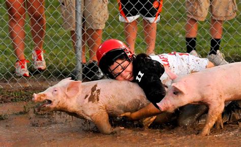 Woman attempts to bring end to pig-chasing events at county fairs on Island | Lethbridge News Now