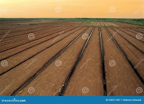 Peat Extraction Site. Harvester at Collecting Peat on Peatlands. Mining and Harvesting Peatland ...