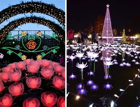 Winter Illumination at Ashikaga Flower Park in Tochigi Prefecture ...