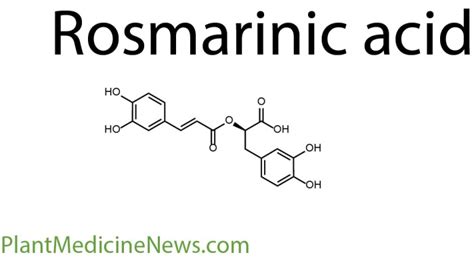 Rosmarinic Acid - Plant Medicine News