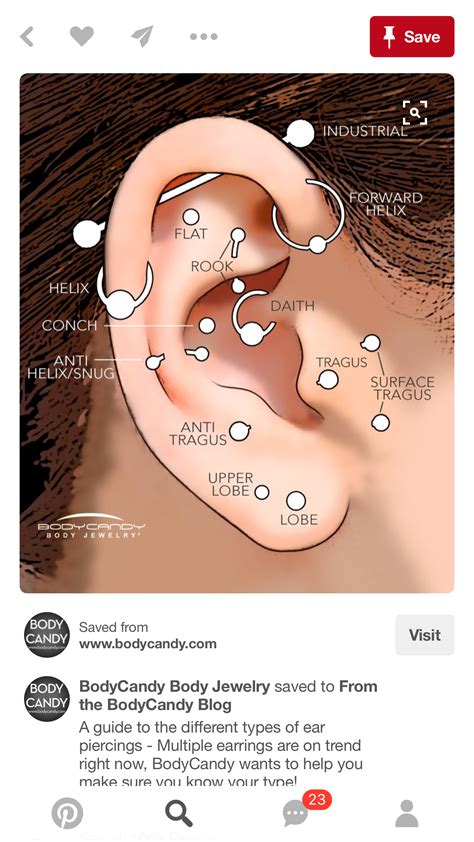 Pin by Kylee Kahbeah on Tattoos | Types of ear piercings, Cute ear piercings, Piercings