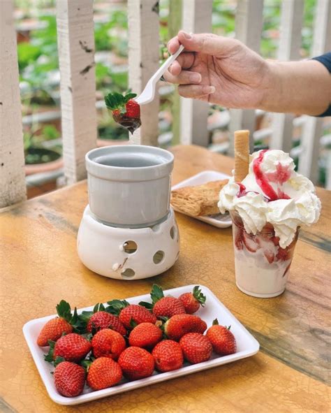 This Cafe In Cameron Highlands Is A Paradise For All Strawberry Lovers - KL Foodie