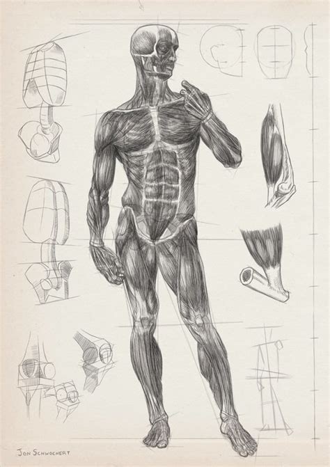 Gesture & Anatomy | London Fine Art Studios