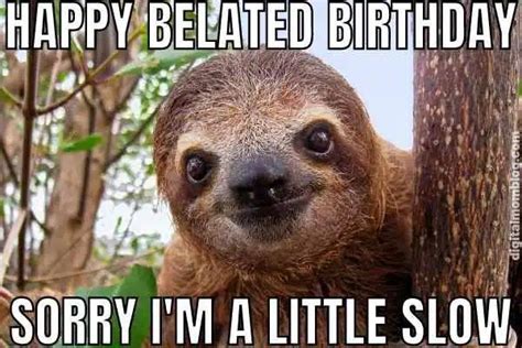 Happy Birthday Sloth Meme