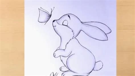 Simple and easy pencil drawing of bunny with Butterfly || butterfly drawing with rabbit || draw ...