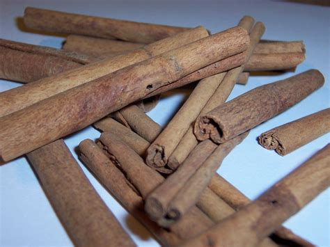 cinnamon sticks 2 Free Photo Download | FreeImages