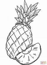 Pineapple Coloring Page  Free Printable Coloring Pages sketch template