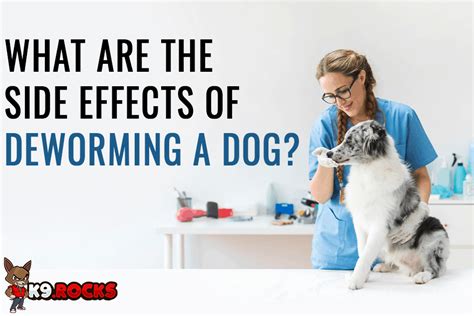 What Are the Side Effects of Deworming a Dog? - K9 Rocks