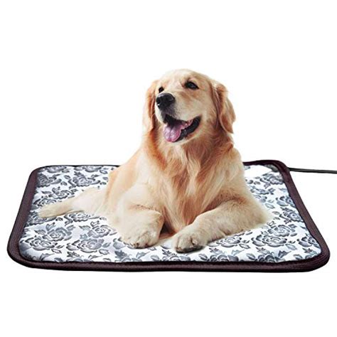 The Best Dog Heating Pads of 2021 - Pet Life Today