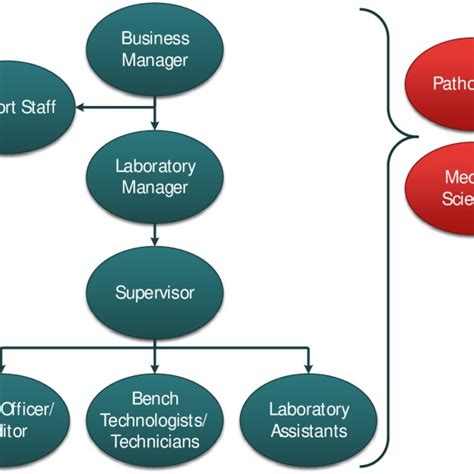 1. An example of a medical laboratory organizational structure | Download Scientific Diagram