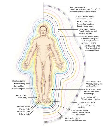 MELCHIZEDEK RECONNECTION DISC - Works on All 3 Subtle Bodies, Etheric ...