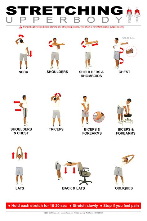 Upper Body Stretching Poster 24" x 36"