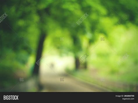 Blurry Nature Image & Photo (Free Trial) | Bigstock