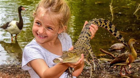 Billabong Sanctuary | Townsville North Queensland