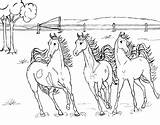 Christmas Horse Coloring Pages  Home sketch template