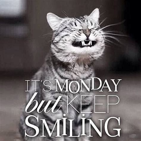 Happy Monday! 😁 | Morning quotes funny, Good morning funny, Funny good morning quotes