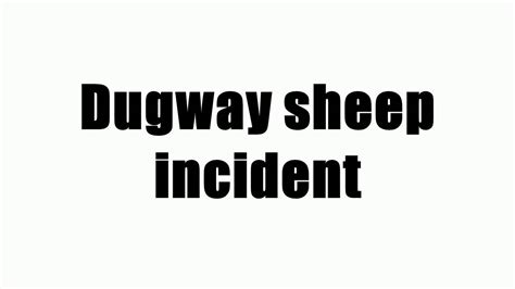 Dugway sheep incident - YouTube