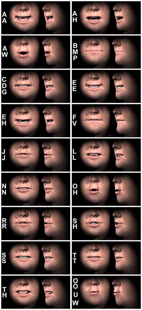 phonemes - Google Search рот звуки | Character design tips, Animation ...