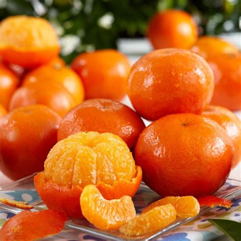 Tangerines, Tangerines & Tangelos: Countryside Citrus