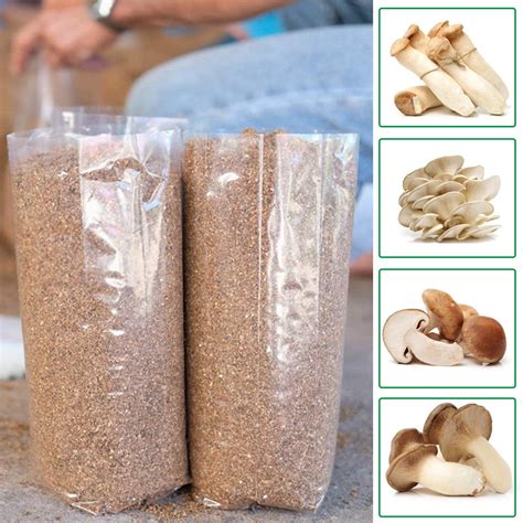 Cheer.US 10Pcs/Bag Mushroom Grow Bags Mushroom Spawn Bags for CO2 Emitting Hydroponics - Carbon ...