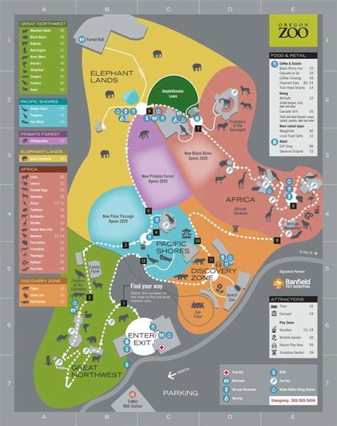 Step 4 - Classification Zoos