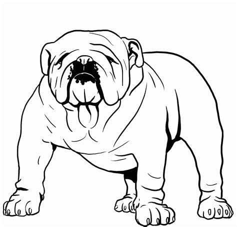 Bulldog Coloring Pages - Best Coloring Pages For Kids