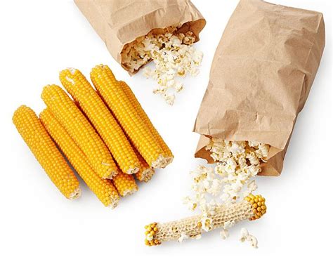 Popcorn On The Cob | History of popcorn, Popcorn, Food