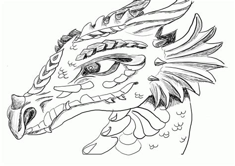 Realistic Dragon Coloring Pages For Adults - Coloring Home