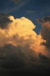 Large White Cumulus Cloud Free Stock Photo - Public Domain Pictures