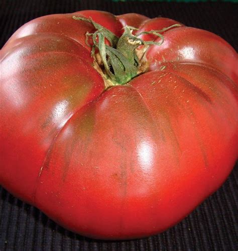 Black Krim Organic Tomato Seeds – West Coast Seeds