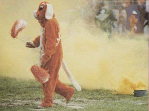 Tennessee Vols mascot Smokey, clad in big orange (1987) | Tennessee mascot, Mascot, Mascot costumes