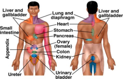 Physiology of Pain | HubPages